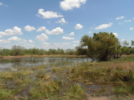 Property in Taylor County, Texas