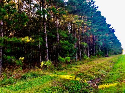 Property in Beaufort County, North Carolina