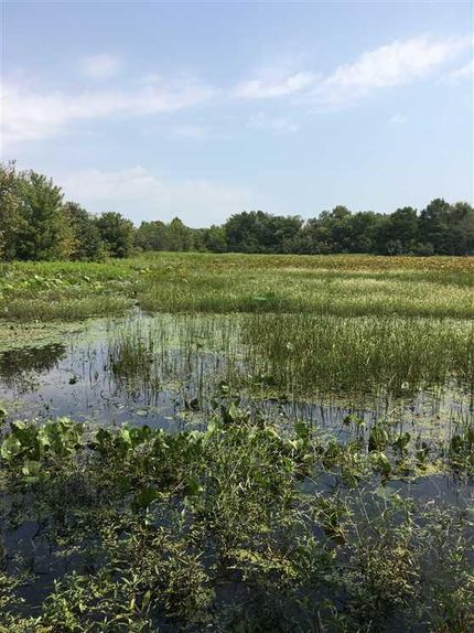 Property in Jackson County, Arkansas