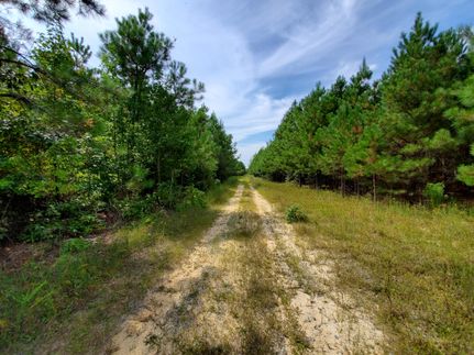 Property in Surry County, Virginia