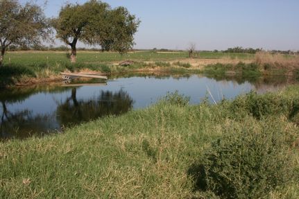 Property in Hall County, Texas