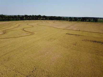 Property in Cross County, Arkansas