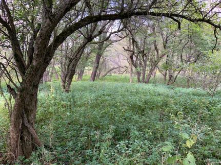 Property in Madison County, New York