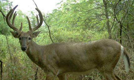 Property in Iroquois County, Illinois