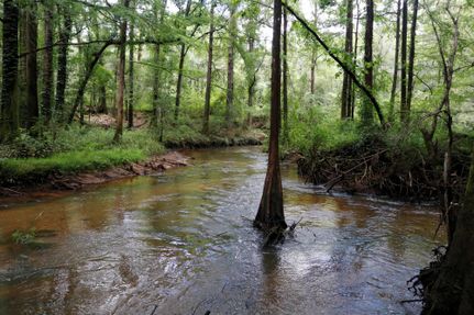 Property in Geneva County, Alabama