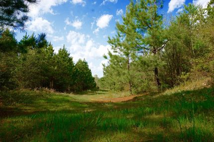 Property in Bienville Parish, Louisiana