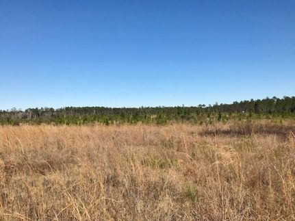 Property in Jackson County, Mississippi