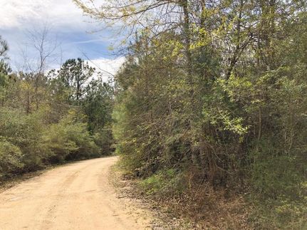 Property in Newton County, Texas