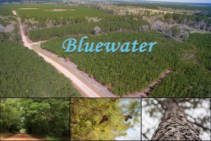 Property in Polk County, Texas