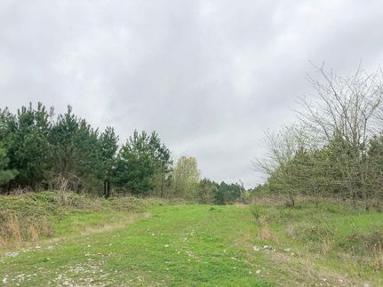 Property in Titus County, Texas