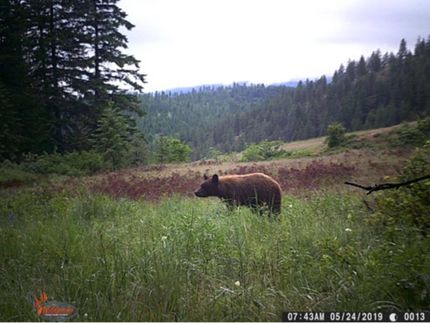 Property in Stevens County, Washington