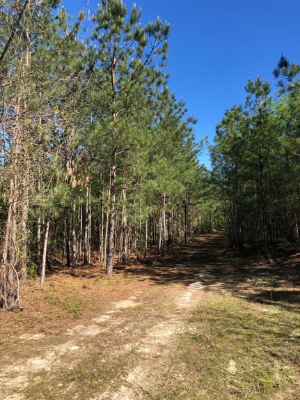 Property in Richmond County, North Carolina