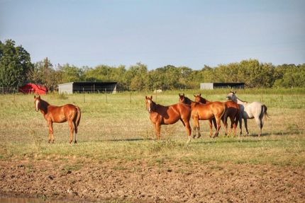 Property in Clay County, Texas