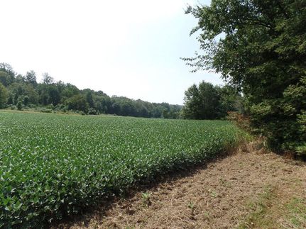 Property in Chester County, Pennsylvania