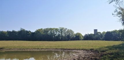 Property in Marengo County, Alabama