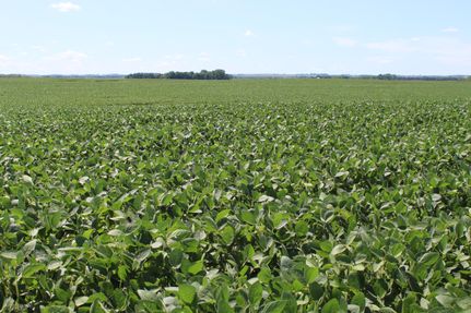 Property in Yellow Medicine County, Minnesota