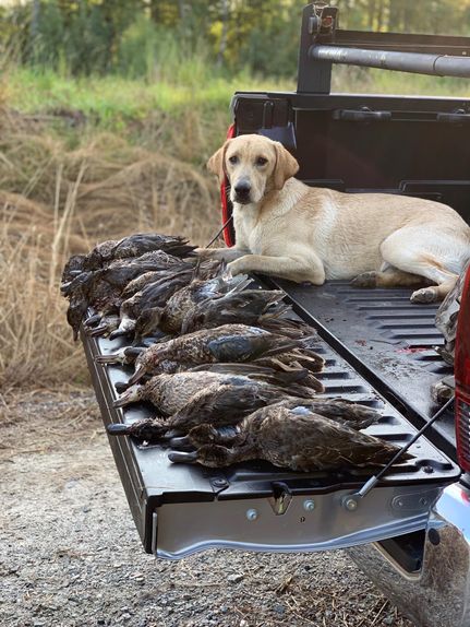 Property in Jasper County, South Carolina