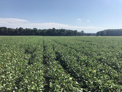 Property in White County, Arkansas