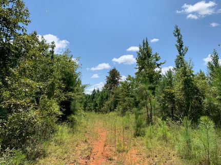 Property in Lowndes County, Alabama
