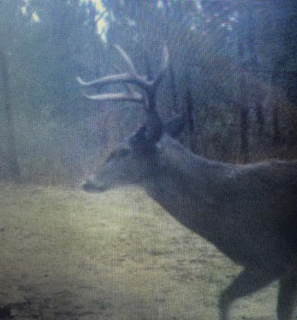 Property in Franklin County, Alabama