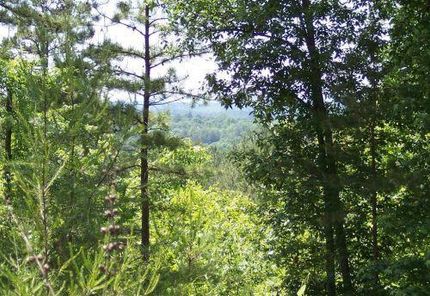 Property in Blount County, Alabama
