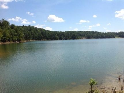 Property in Winston County, Alabama