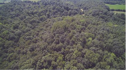 Property in Vernon County, Wisconsin