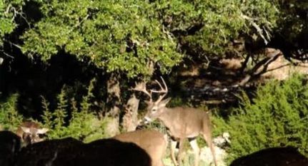 Property in Edwards County, Texas