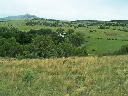 Property in Colfax County, New Mexico
