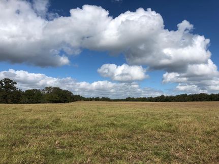 Property in Freestone County, Texas