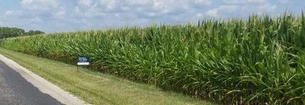 Property in Macon County, Illinois