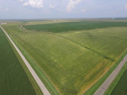 Property in Moultrie County, Illinois