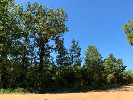Property in Washington County, Alabama