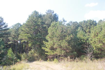 Property in Benton County, Mississippi
