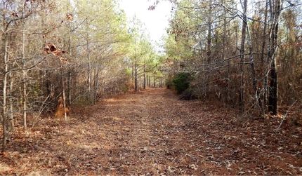 Property in Newton County, Mississippi