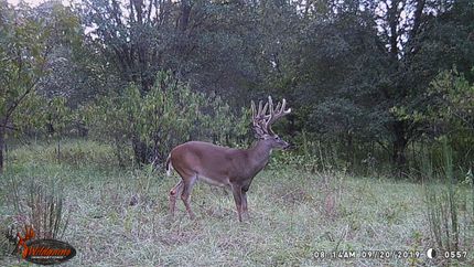 Property in Houston County, Alabama