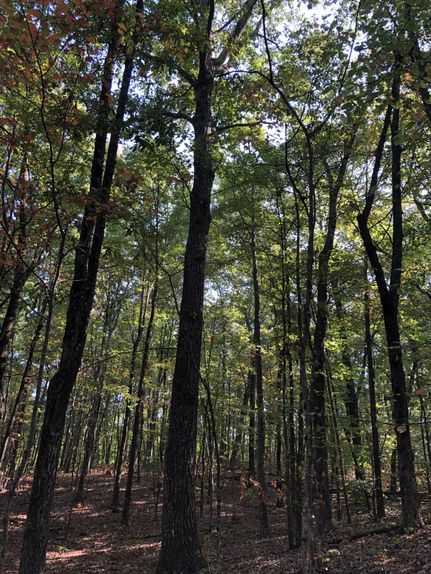 Property in Jackson County, Alabama