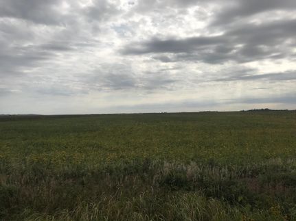 Property in Monona County, Iowa