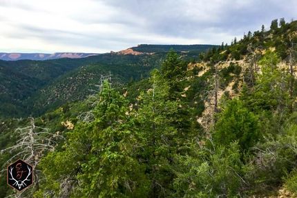 Property in Utah County, Utah