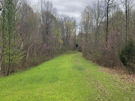 Property in Lawrence County, Tennessee