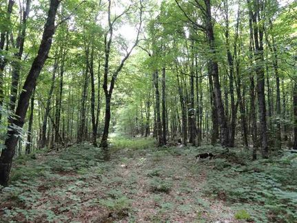 Property in Gogebic County, Michigan