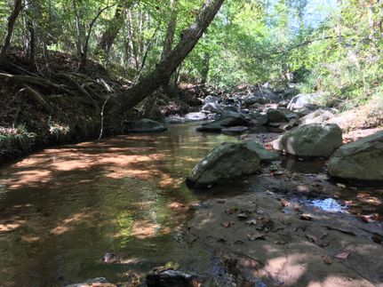 Property in Abbeville County, South Carolina