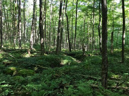 Property in Oneida County, New York