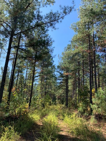 Property in Buckingham County, Virginia