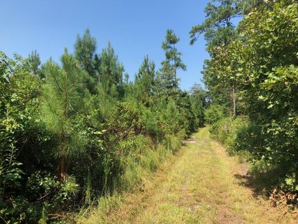 Property in Harnett County, North Carolina