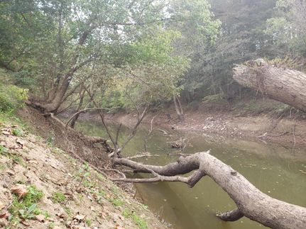 Property in Lawrence County, Indiana