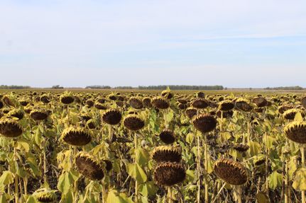 Property in Clay County, Minnesota