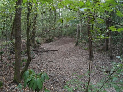 Property in Choctaw County, Alabama