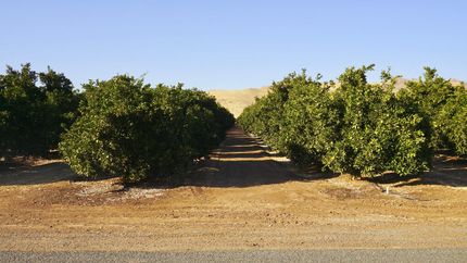 Property in Tulare County, California