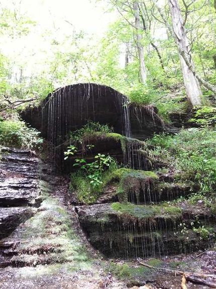 Property in Wayne County, Tennessee